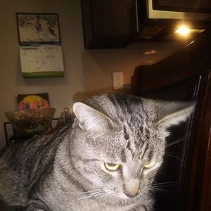 Meet your Posher, Maura